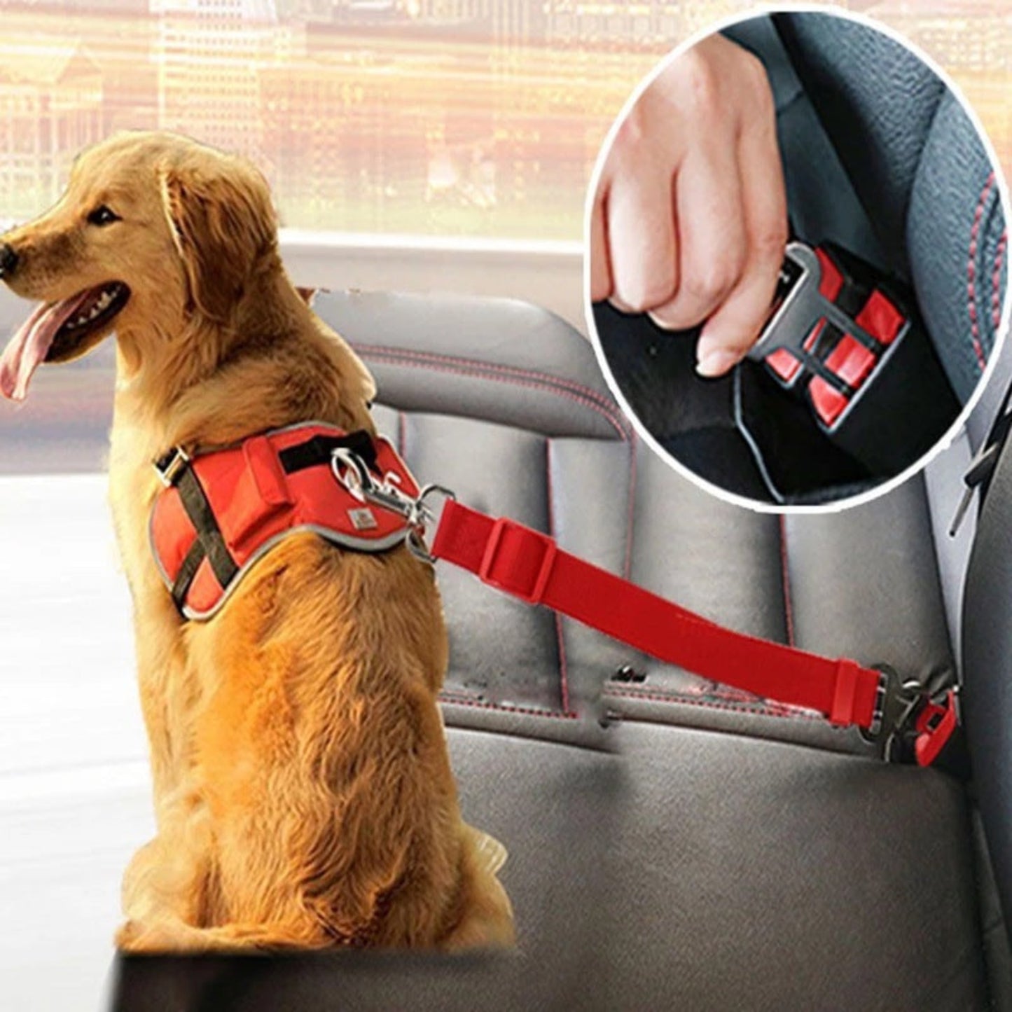Adjustable Pet Car Seat Belt - Friends & Co.