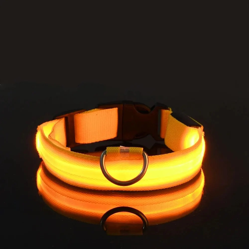 Nylon LED Night Safety Flashing Glow In The Dark Dog Leash Dogs Luminous Fluorescent Pet Dog Collar - Friends & Pets Co.