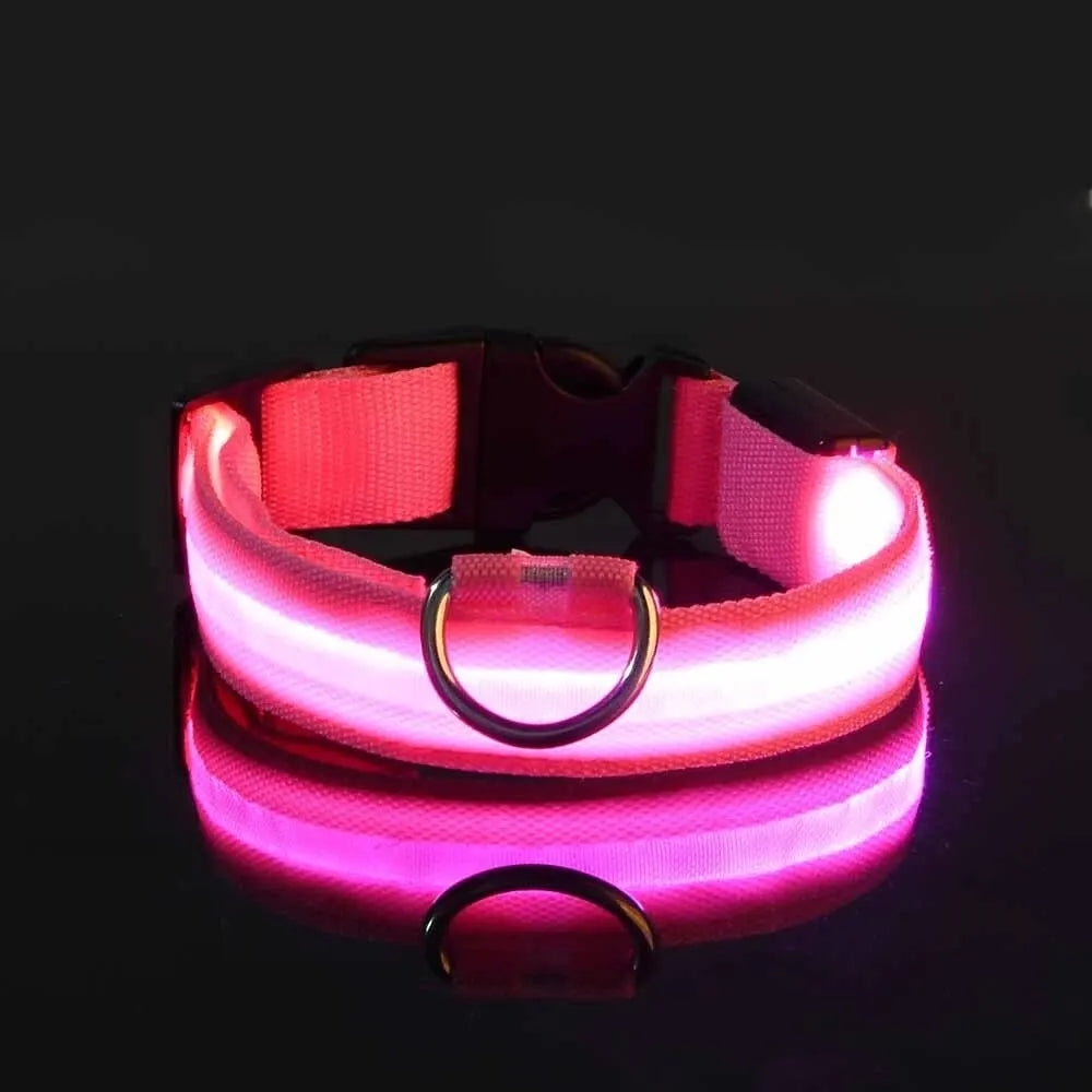 Nylon LED Night Safety Flashing Glow In The Dark Dog Leash Dogs Luminous Fluorescent Pet Dog Collar - Friends & Pets Co.