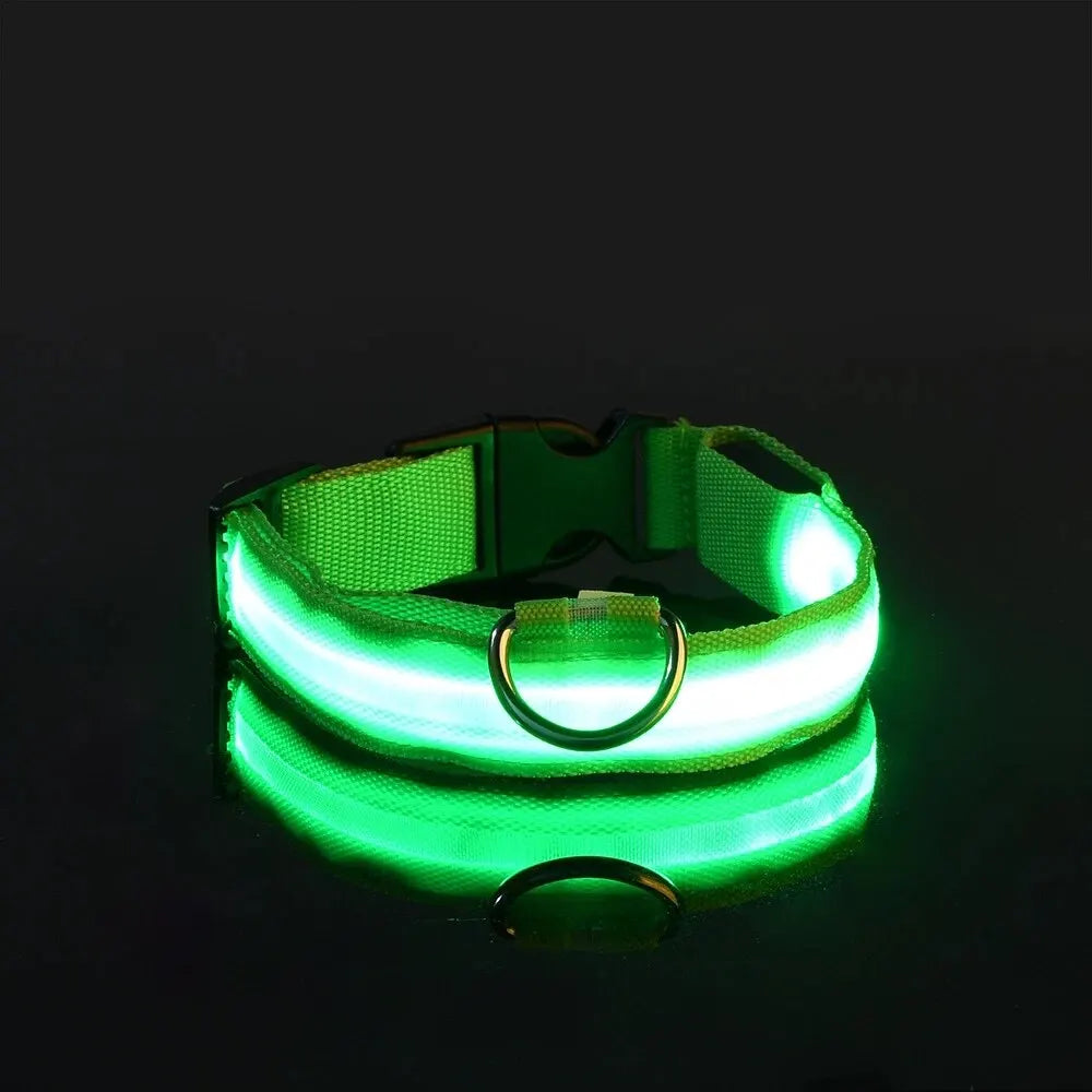 Nylon LED Night Safety Flashing Glow In The Dark Dog Leash Dogs Luminous Fluorescent Pet Dog Collar - Friends & Pets Co.