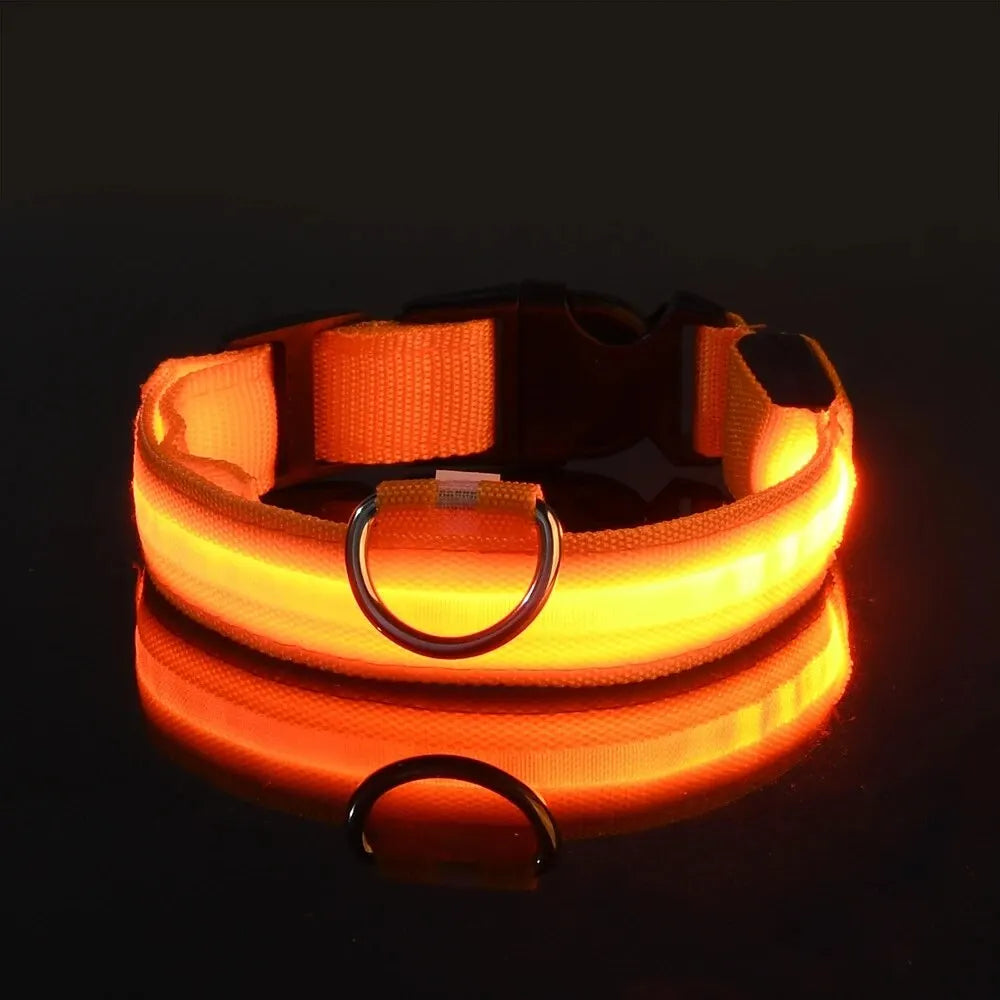 Nylon LED Night Safety Flashing Glow In The Dark Dog Leash Dogs Luminous Fluorescent Pet Dog Collar - Friends & Pets Co.