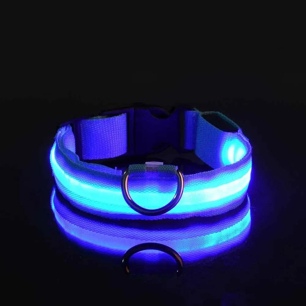 Nylon LED Night Safety Flashing Glow In The Dark Dog Leash Dogs Luminous Fluorescent Pet Dog Collar - Friends & Pets Co.
