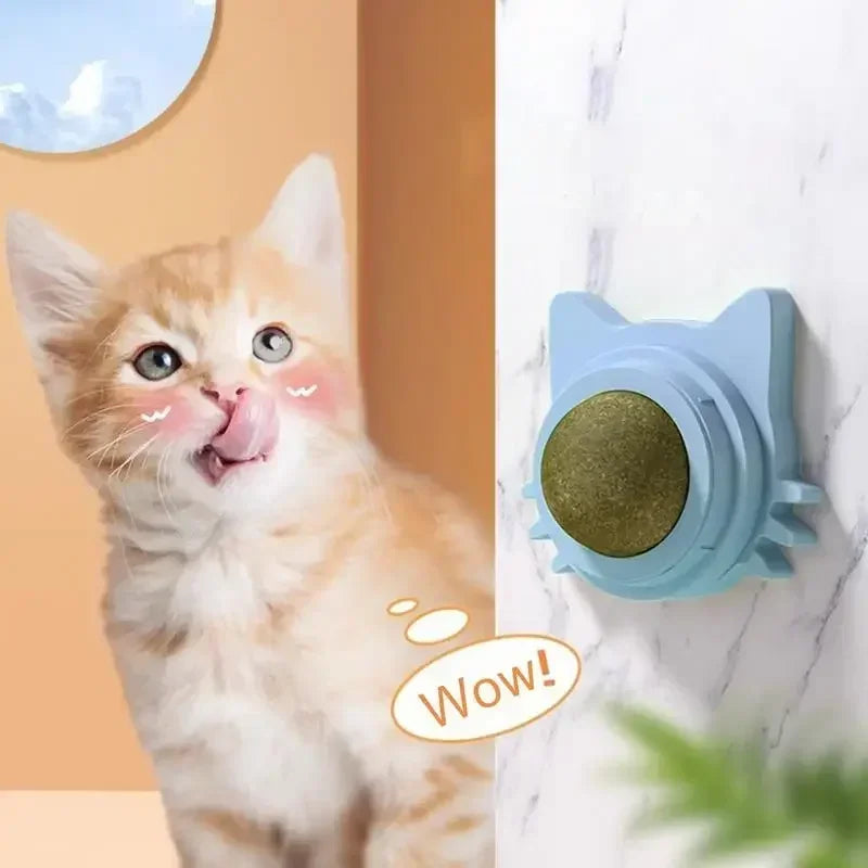 Catnip Ball Toy – Engaging, Durable, and Fun for Cats - Friends & Pets Co.