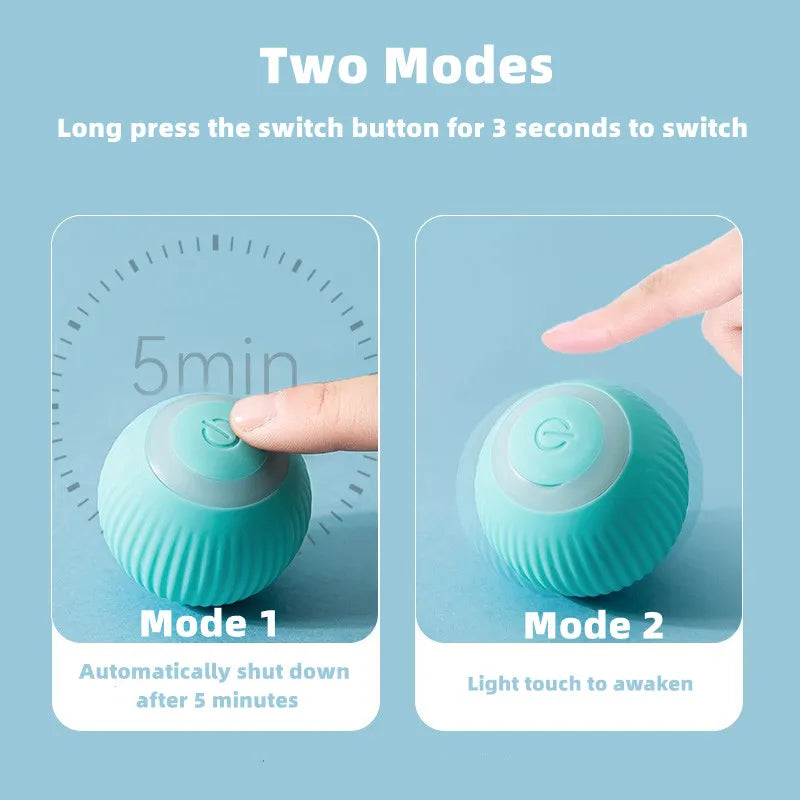 Smart Interactive Rolling Cat Toy - Friends & Pets Co.