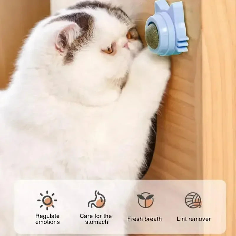 Catnip Ball Toy – Engaging, Durable, and Fun for Cats - Friends & Pets Co.