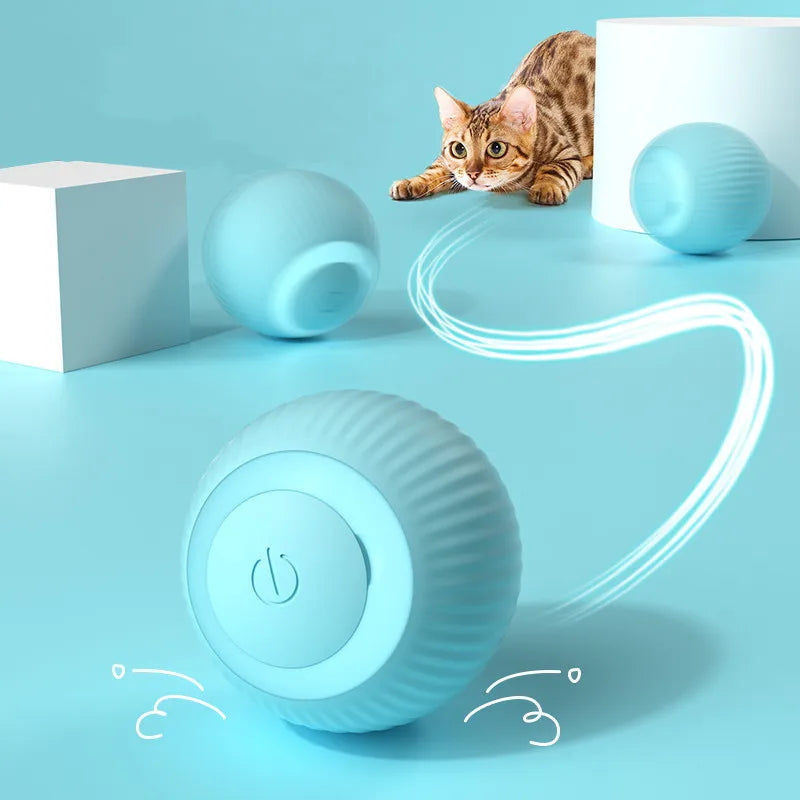 Smart Interactive Rolling Cat Toy - Friends & Pets Co.