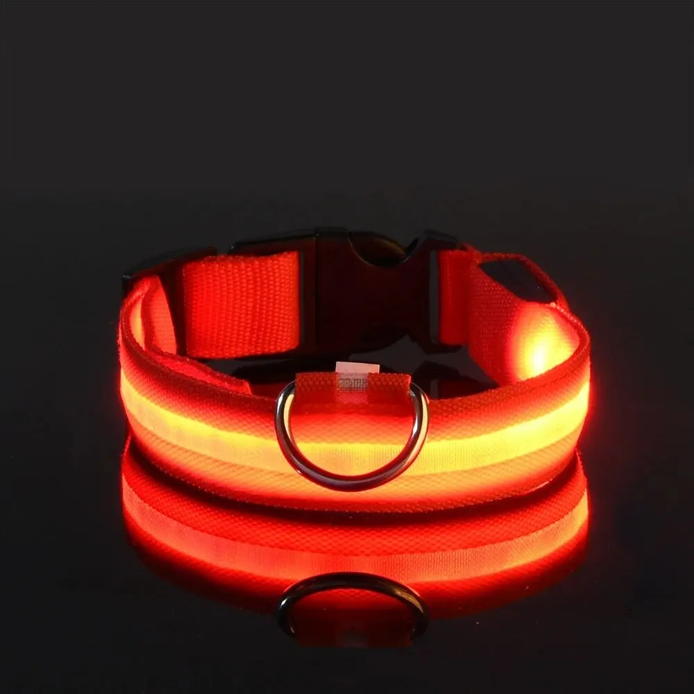 Nylon LED Night Safety Flashing Glow In The Dark Dog Leash Dogs Luminous Fluorescent Pet Dog Collar - Friends & Pets Co.