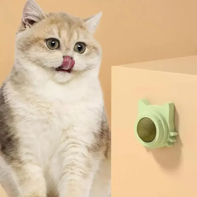 Catnip Ball Toy – Engaging, Durable, and Fun for Cats - Friends & Pets Co.