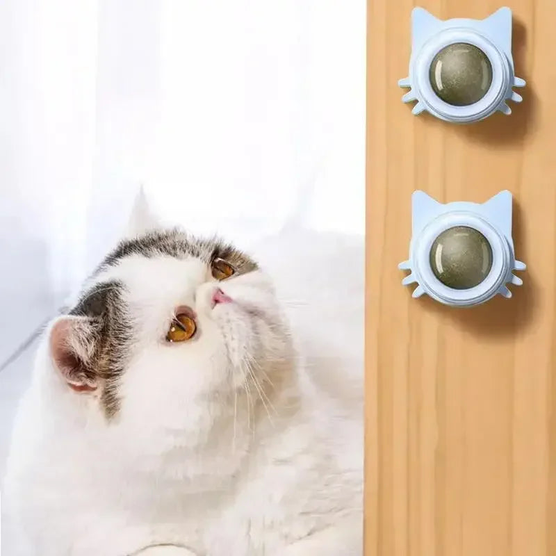 Catnip Ball Toy – Engaging, Durable, and Fun for Cats - Friends & Pets Co.