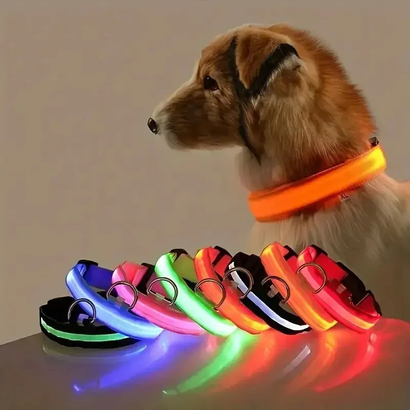 Nylon LED Night Safety Flashing Glow In The Dark Dog Leash Dogs Luminous Fluorescent Pet Dog Collar - Friends & Pets Co.