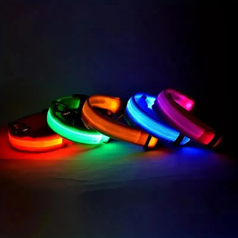Nylon LED Night Safety Flashing Glow In The Dark Dog Leash Dogs Luminous Fluorescent Pet Dog Collar - Friends & Pets Co.