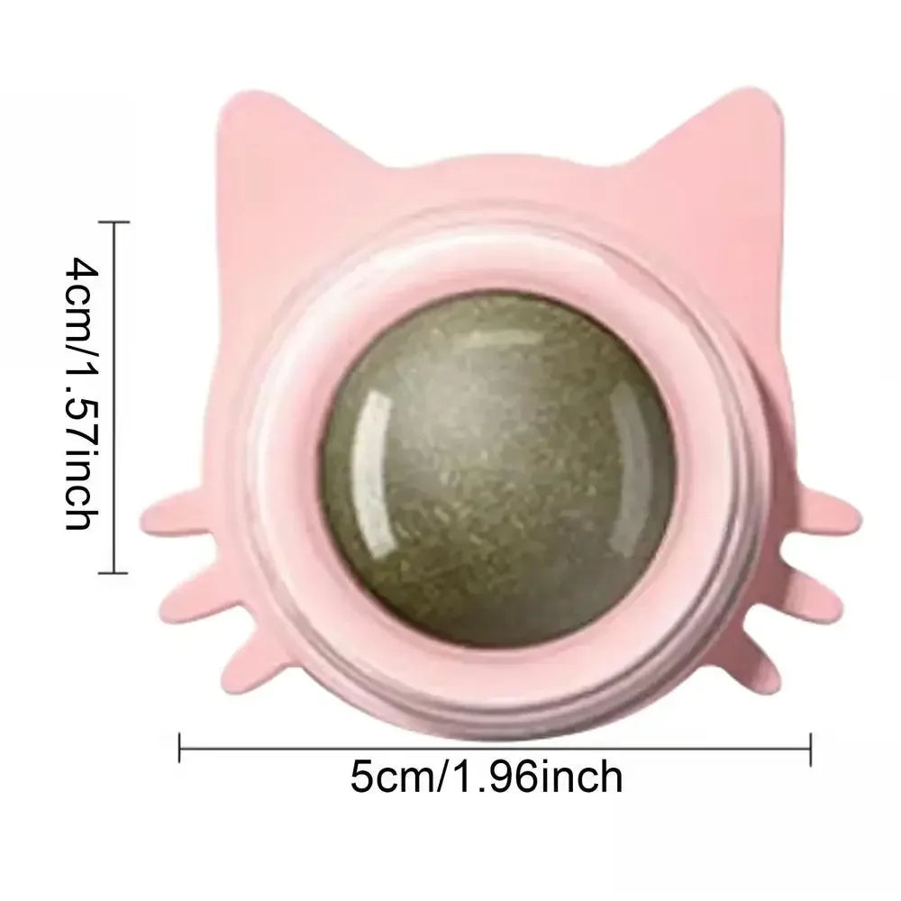 Catnip Ball Toy – Engaging, Durable, and Fun for Cats - Friends & Pets Co.
