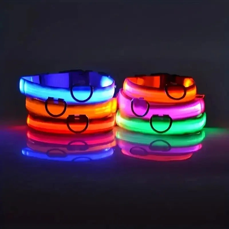 Nylon LED Night Safety Flashing Glow In The Dark Dog Leash Dogs Luminous Fluorescent Pet Dog Collar - Friends & Pets Co.