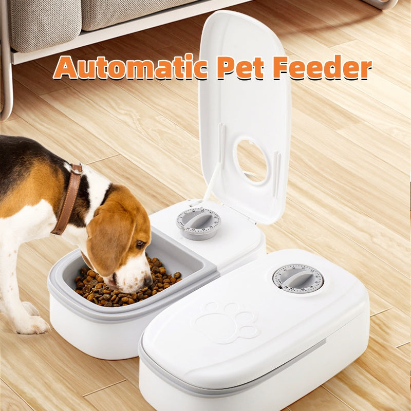 Smart Automatic Food Dispenser For Pets With A Timer - Friends & Co.