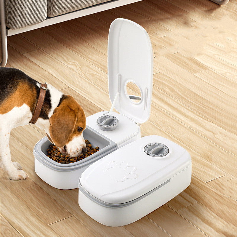 Smart Automatic Food Dispenser For Pets With A Timer - Friends & Co.